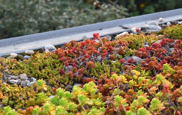 the cost of Damerham green roof installation