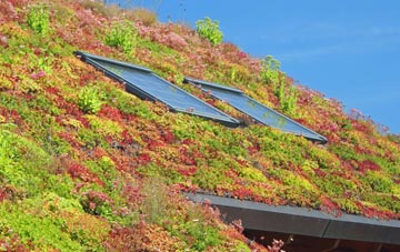 Damerham living roof systems